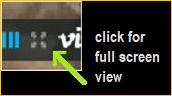 click between the Vimeo logo and the volume bar to see the video in full screen mode